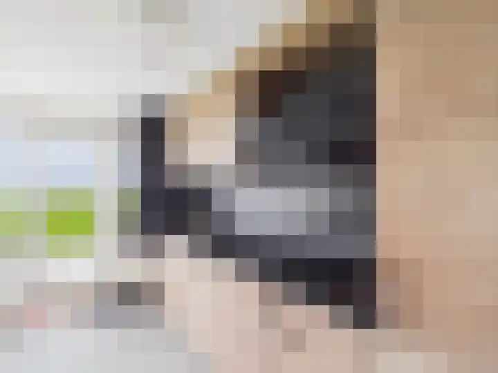 Stuvesande 468 Terneuzen thumbnail 12