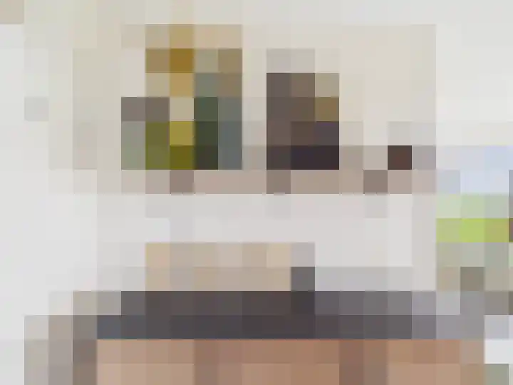 Stuvesande 468 Terneuzen thumbnail 13