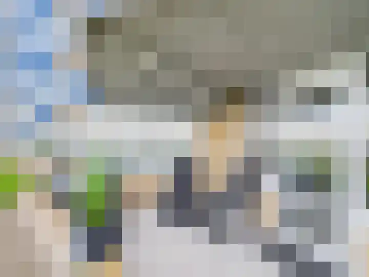 Stuvesande 468 Terneuzen thumbnail 29
