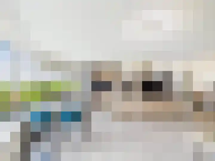 Stuvesande 468 Terneuzen thumbnail 5