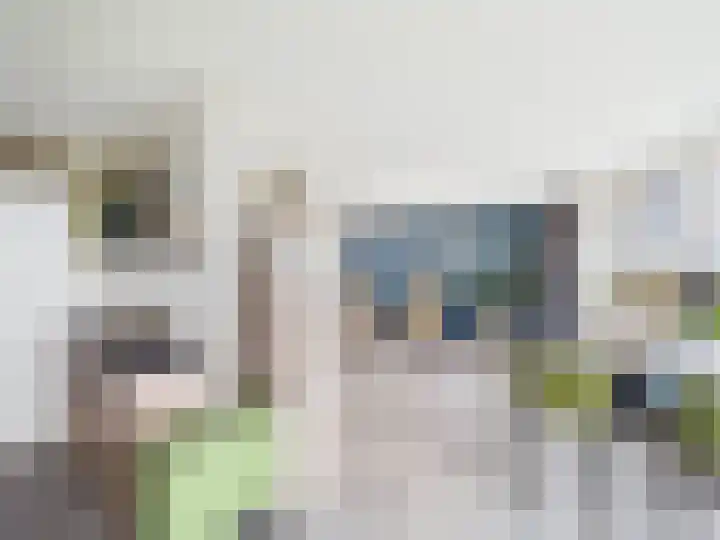 Stuvesande 468 Terneuzen thumbnail 9