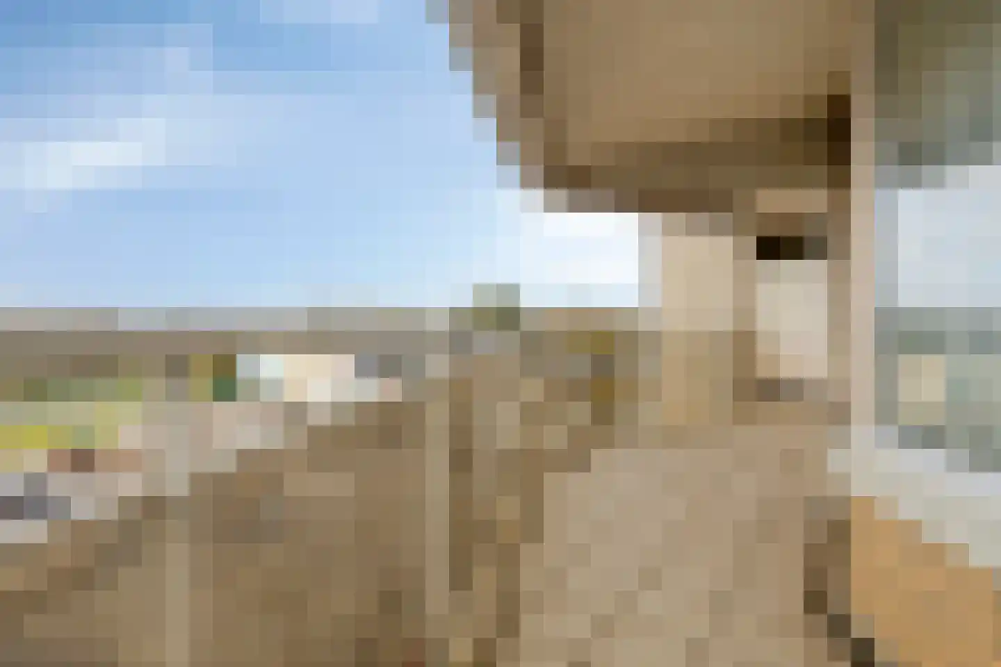 Stuvesande 482 Terneuzen thumbnail 29