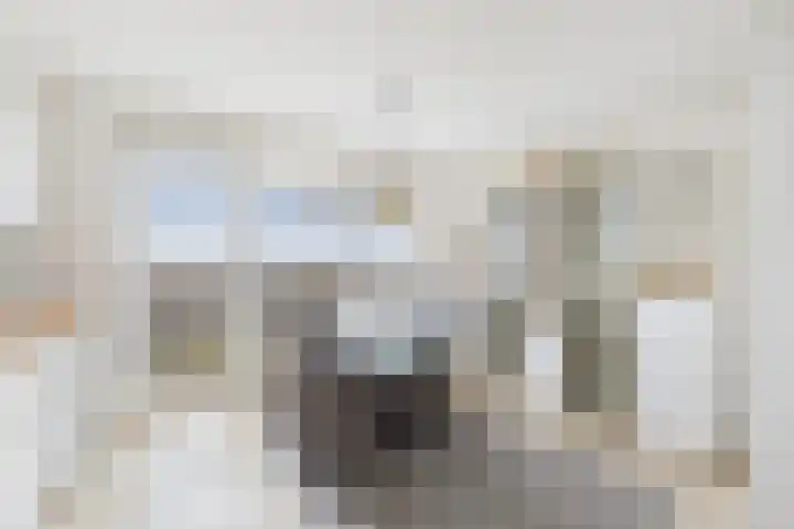 Stuvesande 580 Terneuzen thumbnail 18