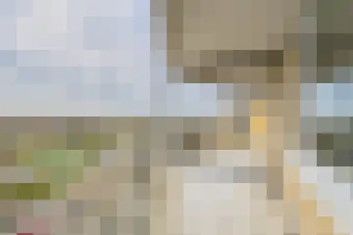 Stuvesande 580 Terneuzen thumbnail 19