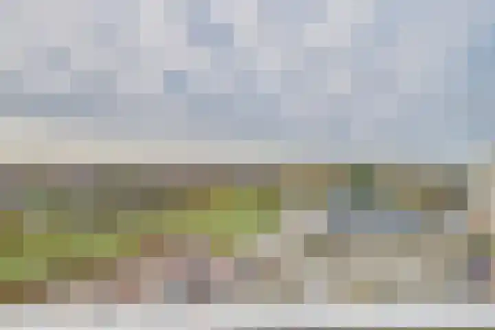 Stuvesande 580 Terneuzen thumbnail 20