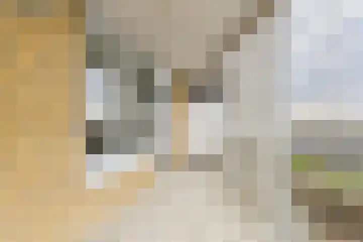 Stuvesande 580 Terneuzen thumbnail 23