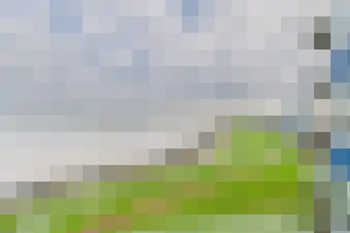 Stuvesande 580 Terneuzen thumbnail 29