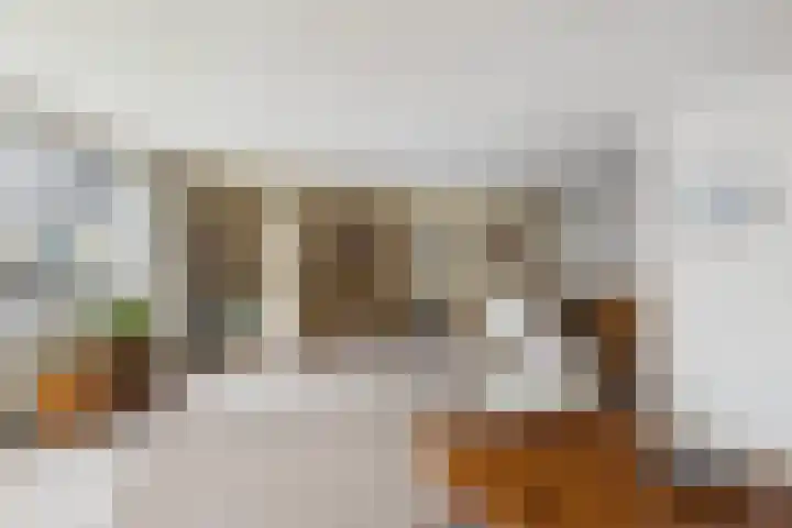 Stuvesande 580 Terneuzen thumbnail 30