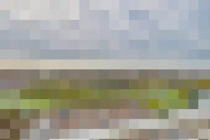 Stuvesande 580 Terneuzen thumbnail 6