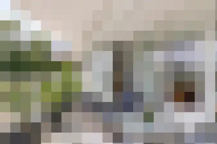 Stuvesande 6 Terneuzen thumbnail 15