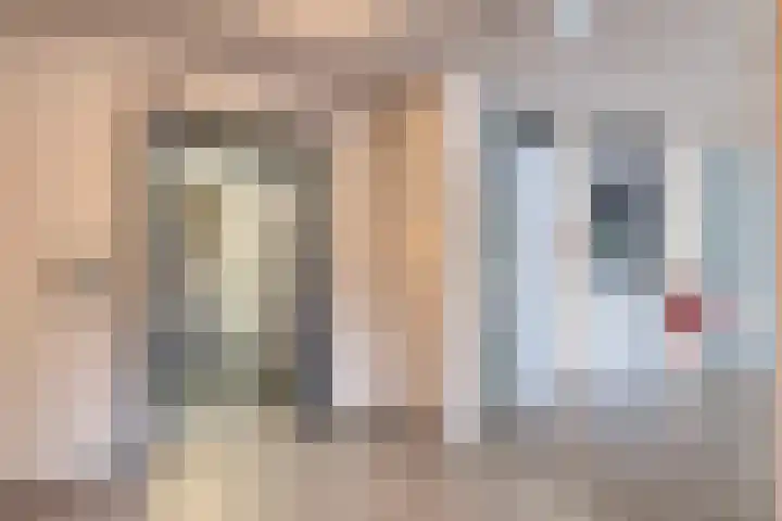 Stuvesande 6 Terneuzen thumbnail 17