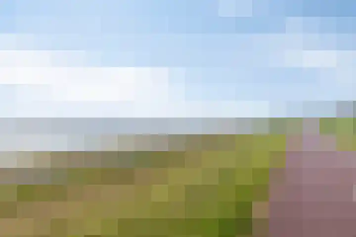Stuvesande 6 Terneuzen thumbnail 20
