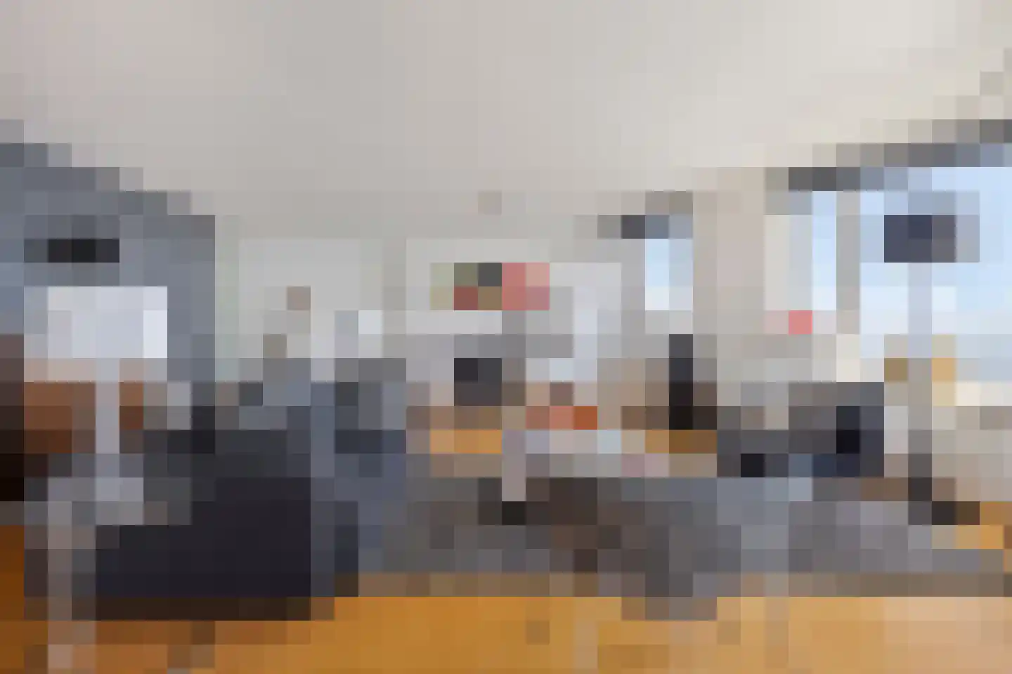 Stuvesande 78 Terneuzen thumbnail 15