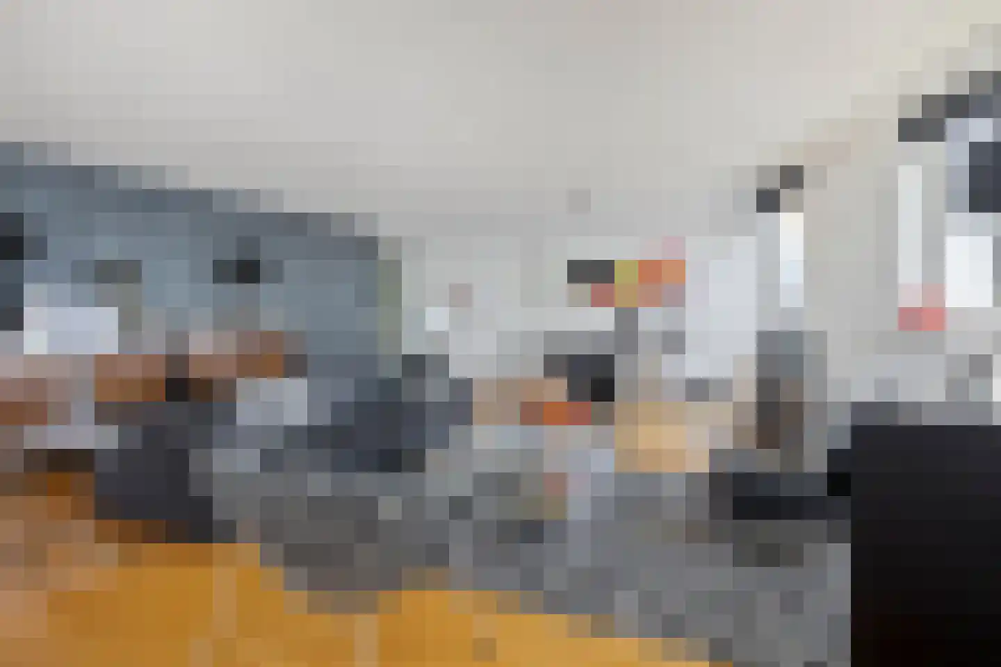 Stuvesande 78 Terneuzen thumbnail 16