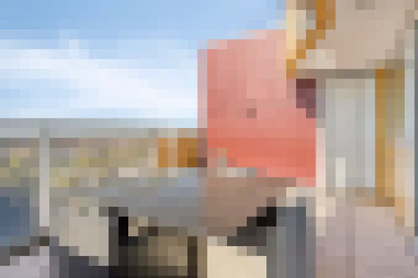 Stuvesande 78 Terneuzen thumbnail 23
