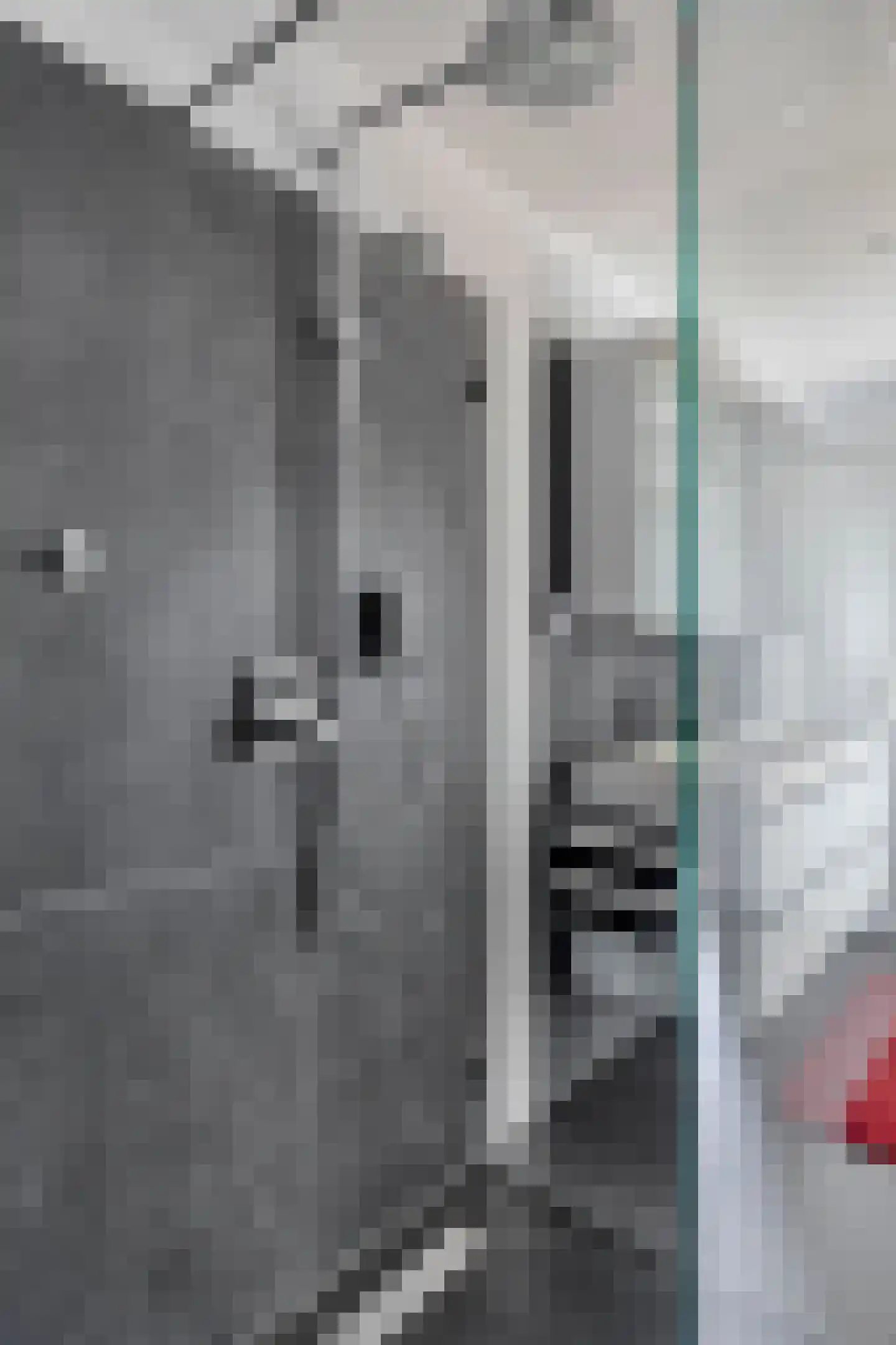 Stuvesande 78 Terneuzen thumbnail 40