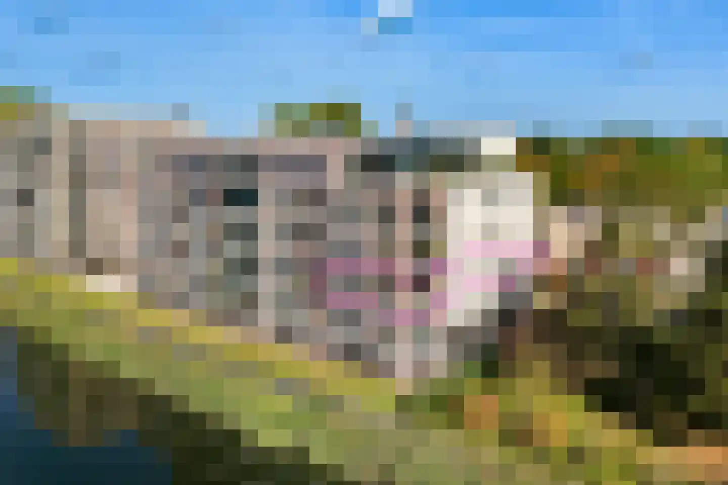 Stuw 21 Doesburg