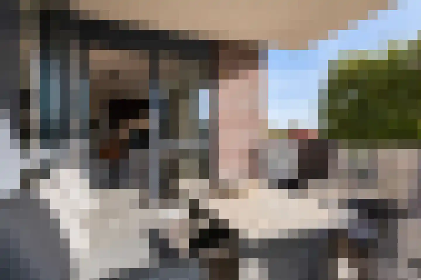 Stuw 21 Doesburg thumbnail 18