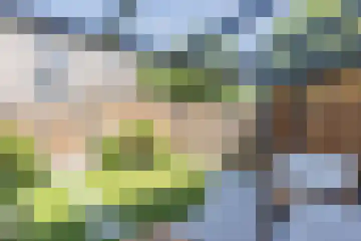 Stuw 4 Doesburg thumbnail 53