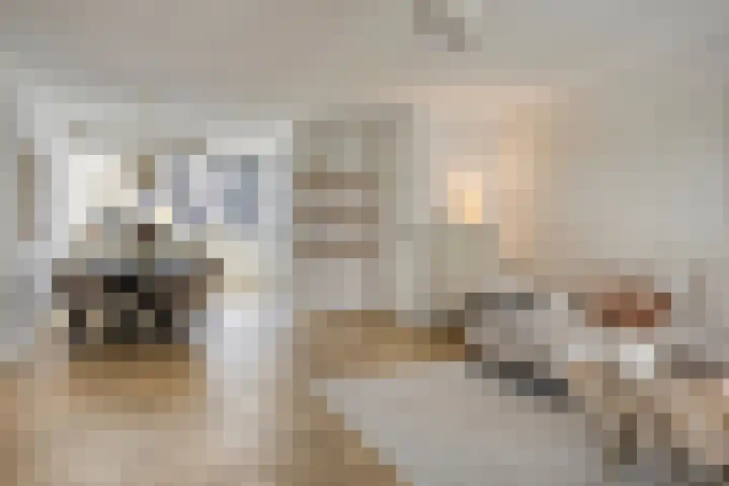 Stuw 9 Borne thumbnail 4