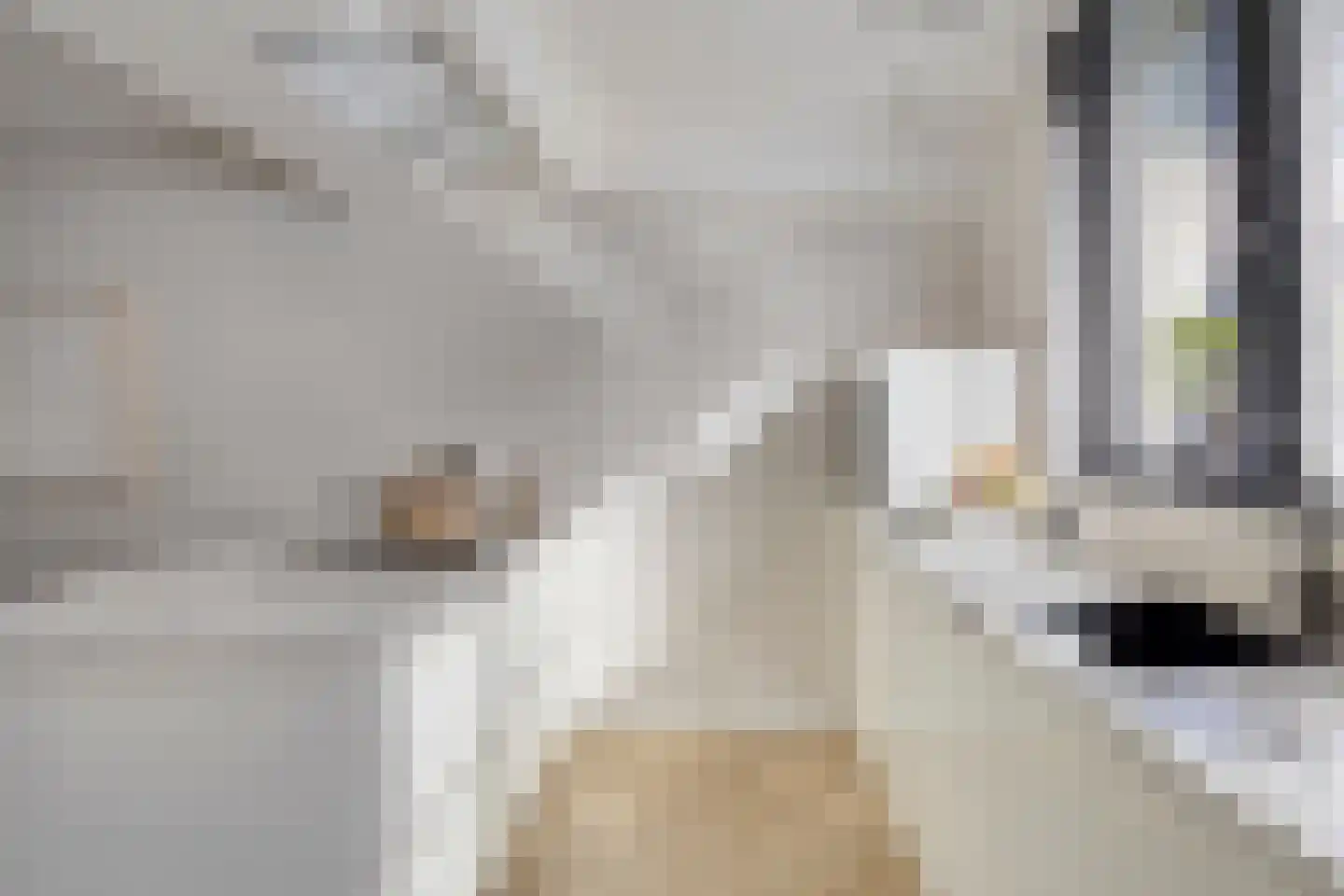 Stuw 9 Borne thumbnail 6