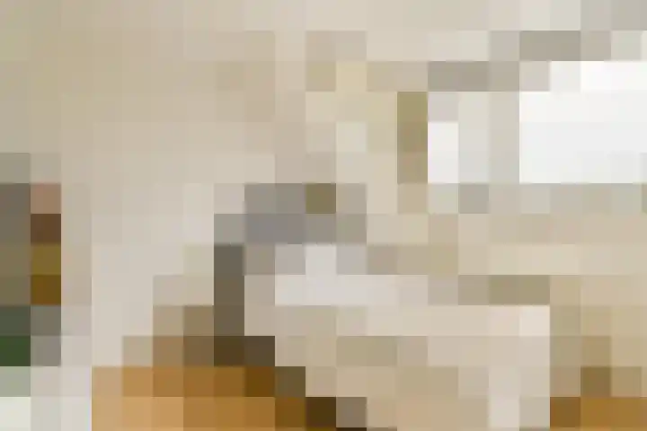 Stuwdam 45 Amstelveen thumbnail 23
