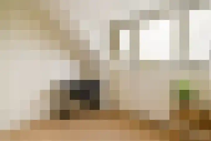 Stuwdam 45 Amstelveen thumbnail 26