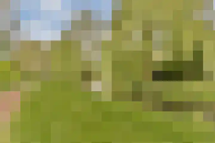 Stuwdam 45 Amstelveen thumbnail 28