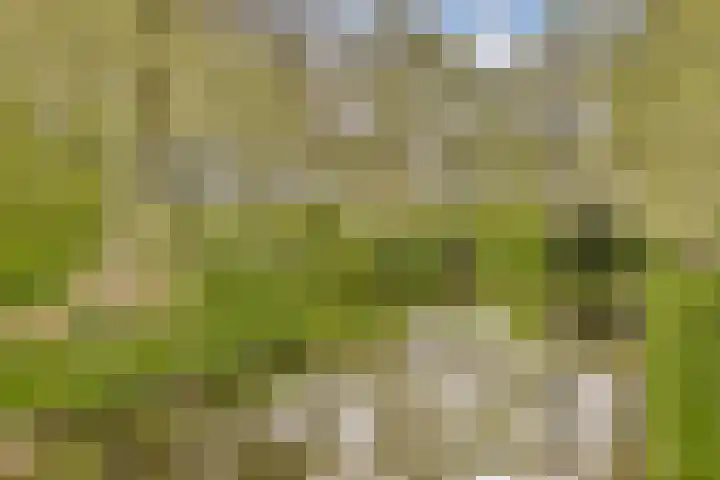 Stuwdam 45 Amstelveen thumbnail 29