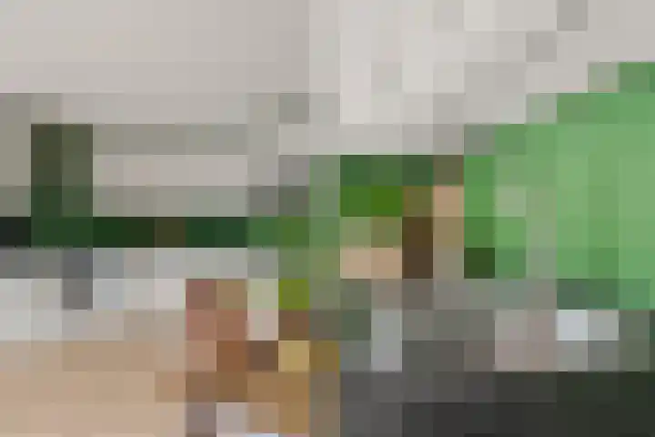 Stuwmeer 138 Houten thumbnail 10