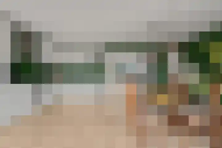 Stuwmeer 138 Houten thumbnail 11