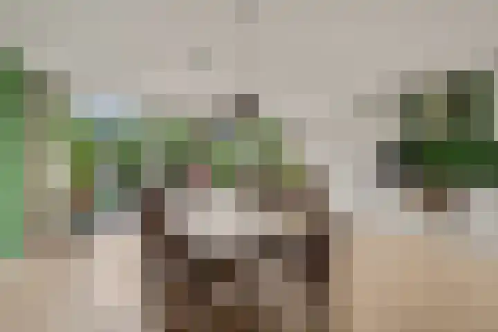 Stuwmeer 138 Houten thumbnail 12