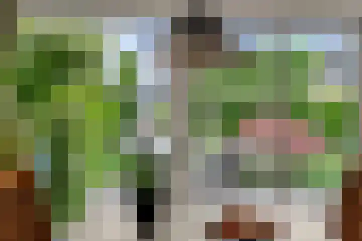 Stuwmeer 138 Houten thumbnail 13
