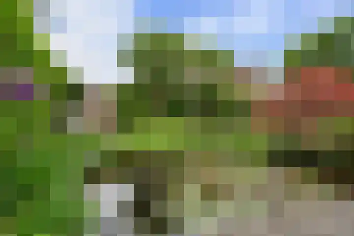 Stuwmeer 138 Houten thumbnail 15