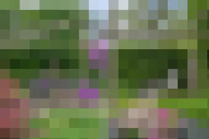 Stuwmeer 138 Houten thumbnail 17