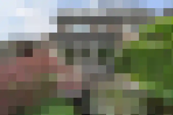 Stuwmeer 138 Houten thumbnail 19