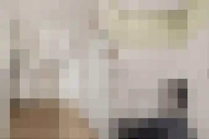 Stuwmeer 138 Houten thumbnail 36