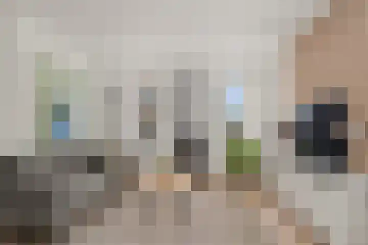Stuwmeer 138 Houten thumbnail 4