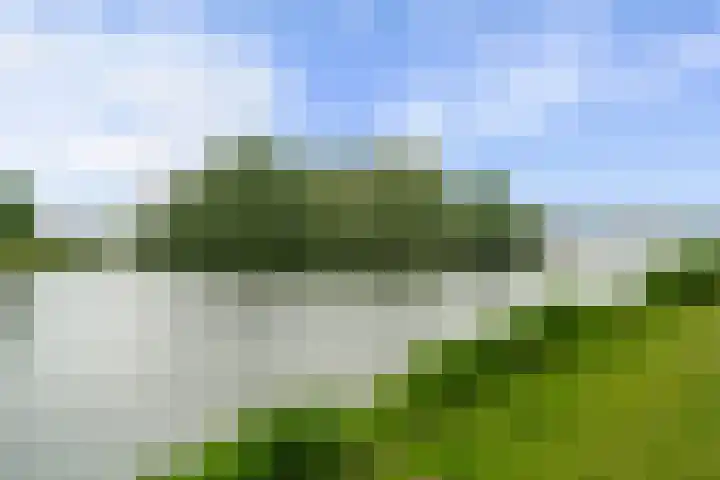Stuwmeer 138 Houten thumbnail 40