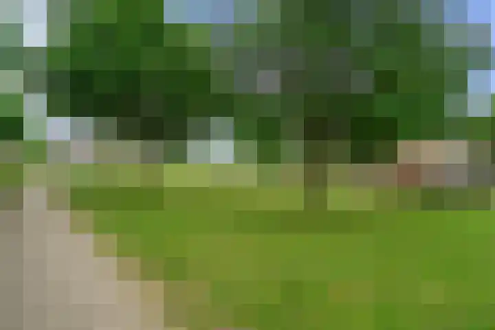 Stuwmeer 138 Houten thumbnail 41