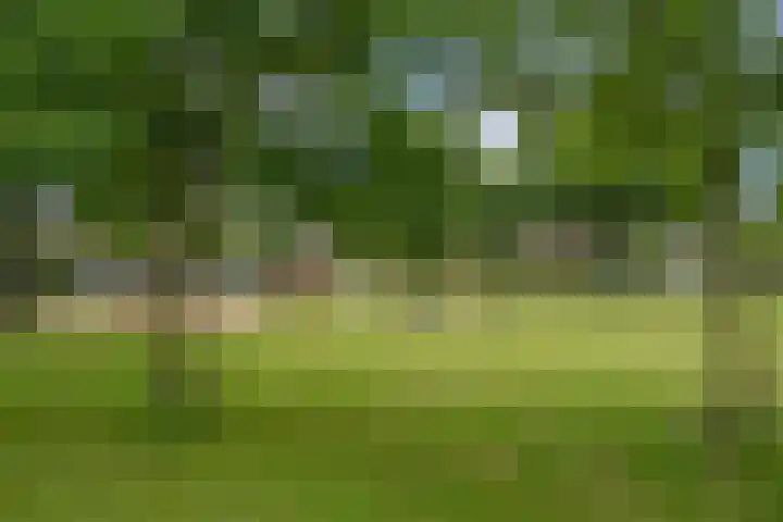Stuwmeer 138 Houten thumbnail 42