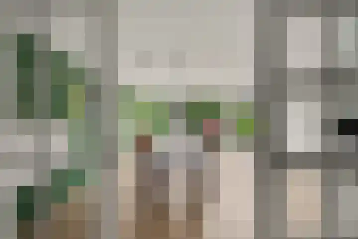 Stuwmeer 138 Houten thumbnail 7