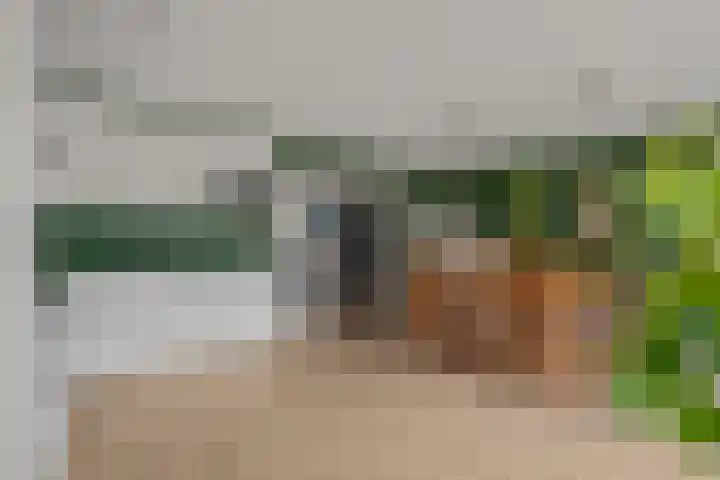 Stuwmeer 138 Houten thumbnail 9