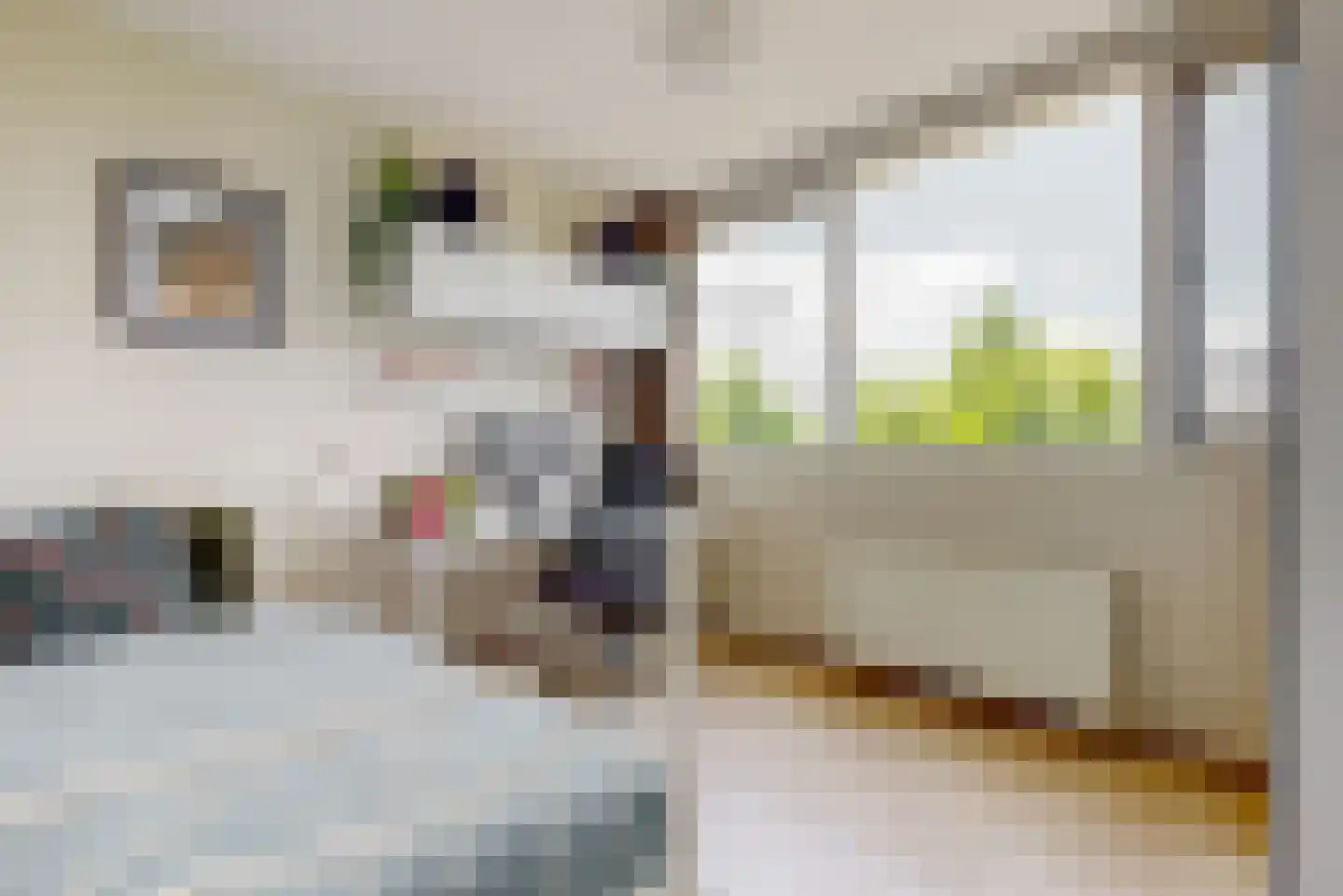 Stuwmeer 64 Houten thumbnail 17