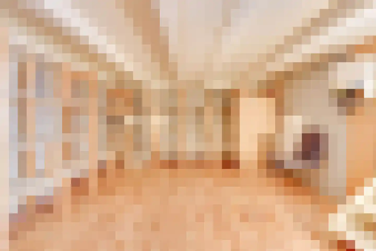 Stuwmeer 71 Houten thumbnail 11