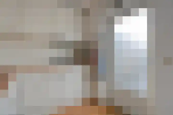 Stuwwal 11 Steenwijk thumbnail 10