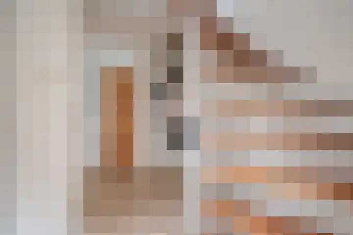 Stuwwal 11 Steenwijk thumbnail 11