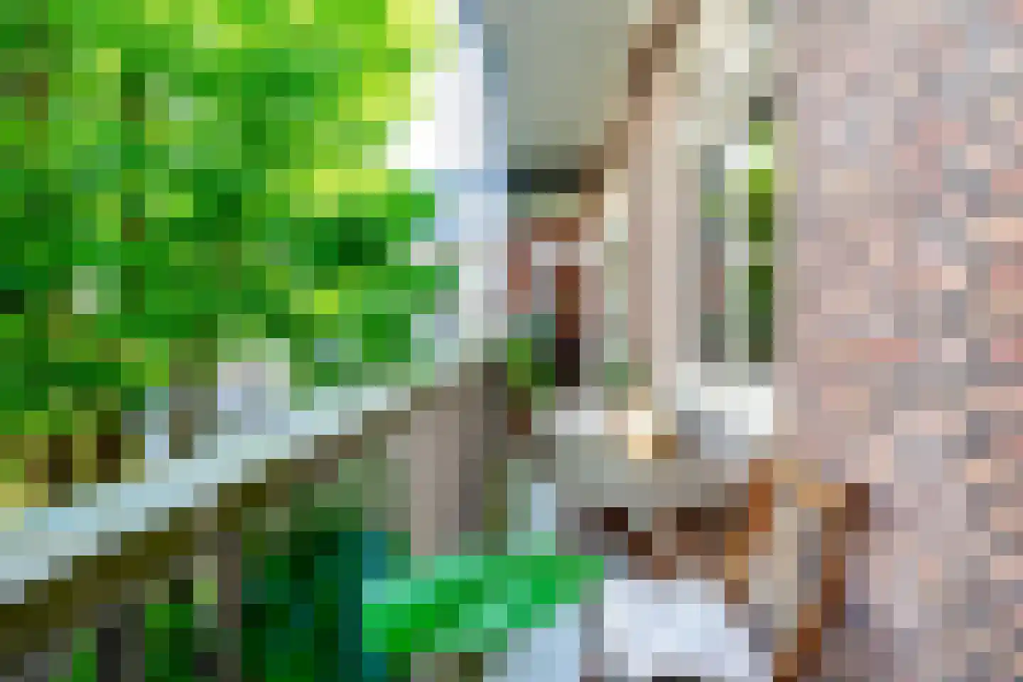 Stuwwal 11 Steenwijk thumbnail 16