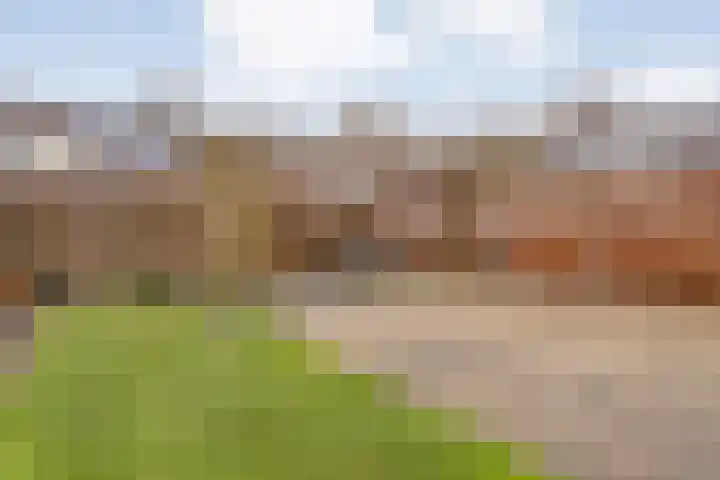 Stuwwal 11 Steenwijk thumbnail 25