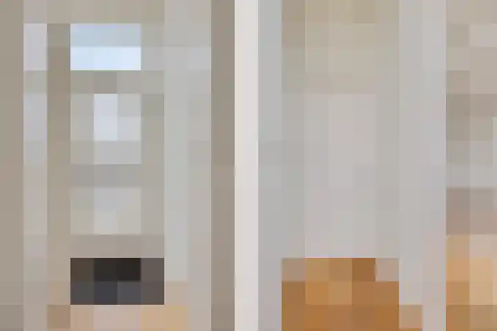 Stuwwal 11 Steenwijk thumbnail 5